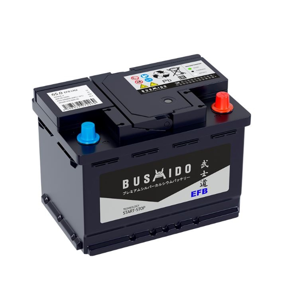 Аккумулятор BUSHIDO EFB 65 обр (L2.0.HO)
