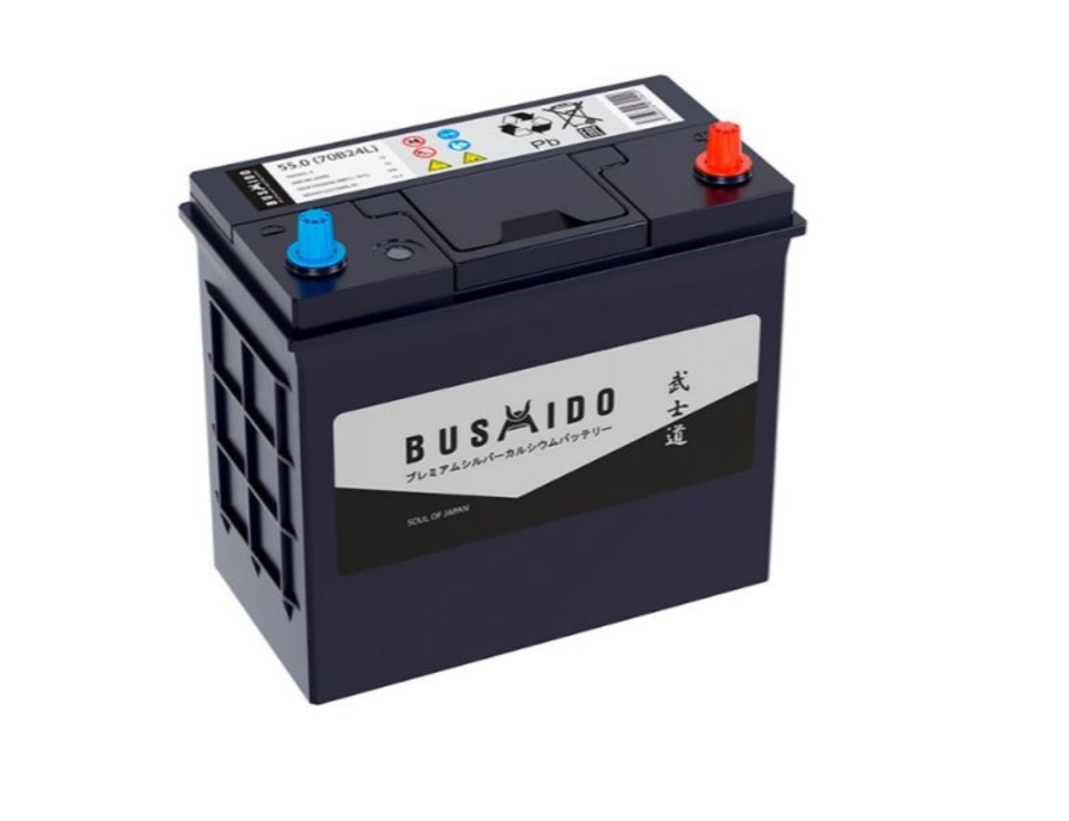 Аккумулятор BUSHIDO AGM 50 обр (B24L) 55Ач 500А