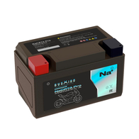 Аккумулятор Мото BUSHIDO NaCR7A pro (YTX7A-BS. 7Ah) пр.